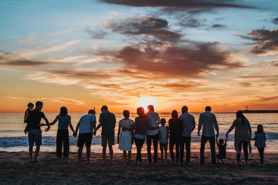 LMI Family Programs